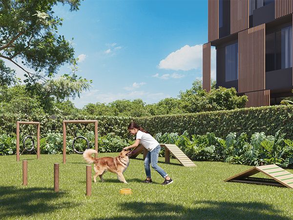 Perspectiva ilustrativa do pet place do Feel Nature